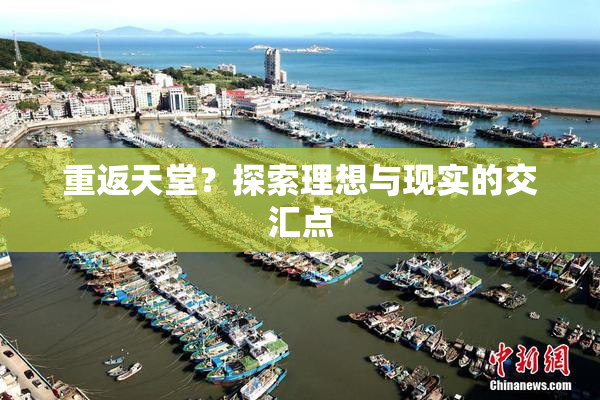 重返天堂？探索理想与现实的交汇点