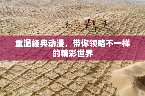 重温经典动漫，带你领略不一样的精彩世界