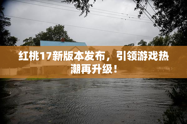 红桃17新版本发布，引领游戏热潮再升级！