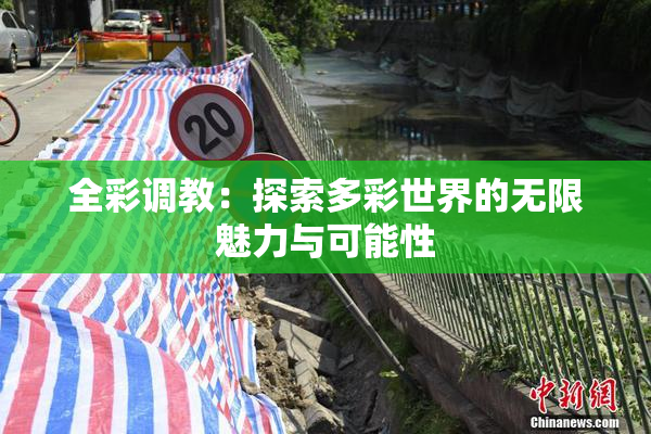 全彩调教：探索多彩世界的无限魅力与可能性