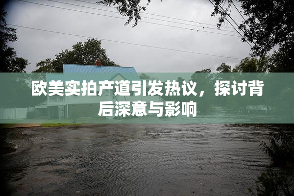 欧美实拍产道引发热议，探讨背后深意与影响
