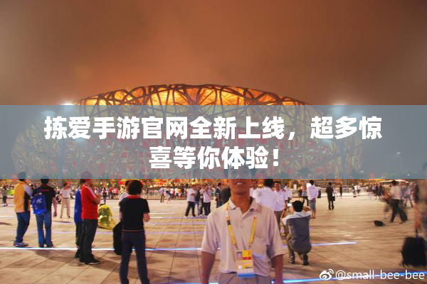 拣爱手游官网全新上线，超多惊喜等你体验！