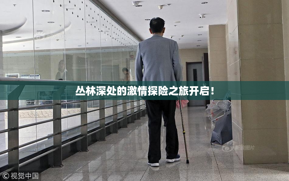 丛林深处的激情探险之旅开启！