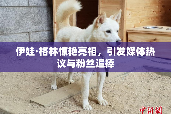 伊娃·格林惊艳亮相，引发媒体热议与粉丝追捧
