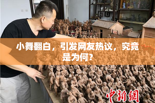 小舞翻白，引发网友热议，究竟是为何？