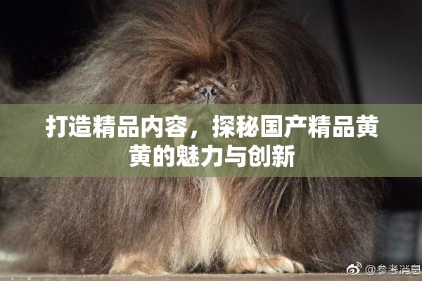 打造精品内容，探秘国产精品黄黄的魅力与创新