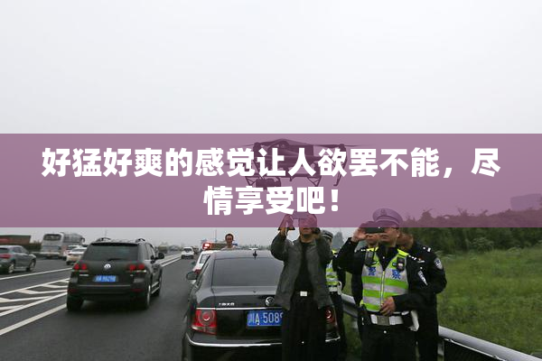 好猛好爽的感觉让人欲罢不能，尽情享受吧！