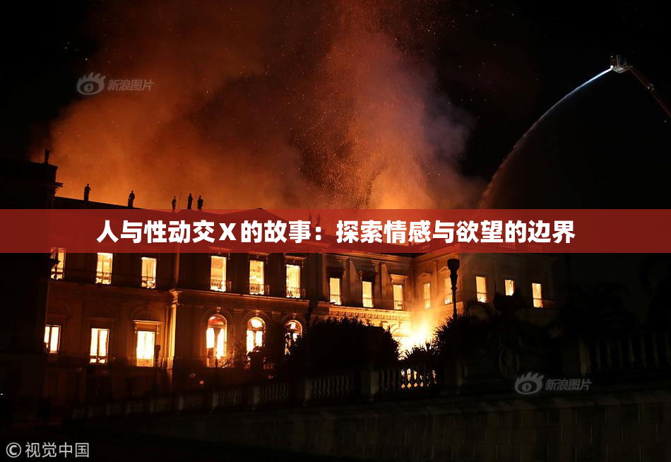 人与性动交Ⅹ的故事：探索情感与欲望的边界