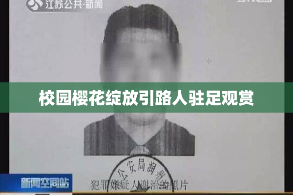 校园樱花绽放引路人驻足观赏