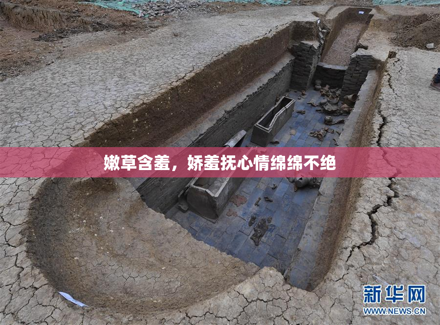 嫩草含羞，娇羞抚心情绵绵不绝