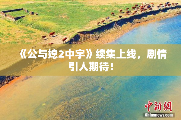 《公与媳2中字》续集上线，剧情引人期待！