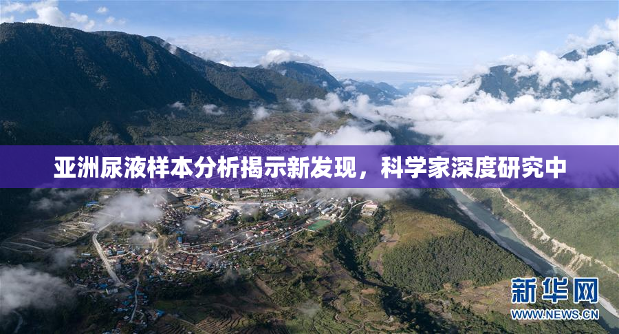 亚洲尿液样本分析揭示新发现，科学家深度研究中