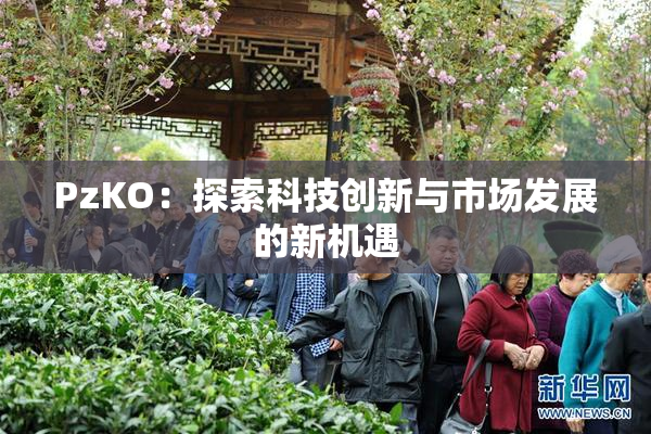 PzKO：探索科技创新与市场发展的新机遇