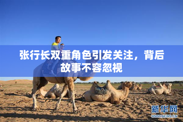 张行长双重角色引发关注，背后故事不容忽视