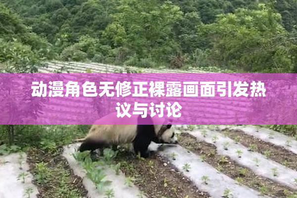 动漫角色无修正裸露画面引发热议与讨论