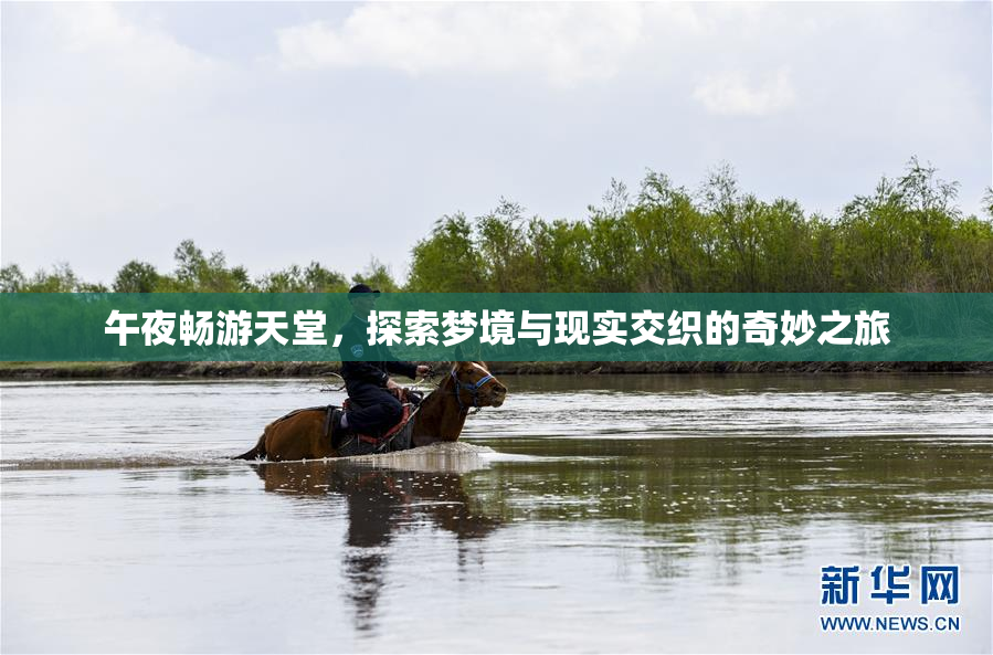 午夜畅游天堂，探索梦境与现实交织的奇妙之旅