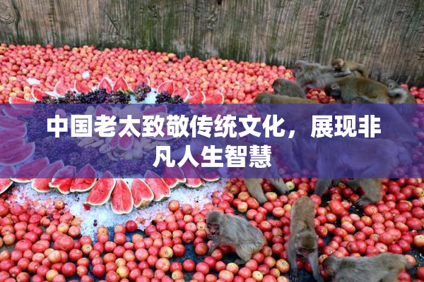 中国老太致敬传统文化，展现非凡人生智慧
