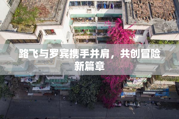 路飞与罗宾携手并肩，共创冒险新篇章