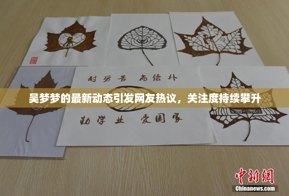 吴梦梦的最新动态引发网友热议，关注度持续攀升