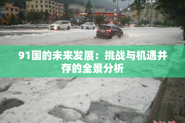91国的未来发展：挑战与机遇并存的全景分析