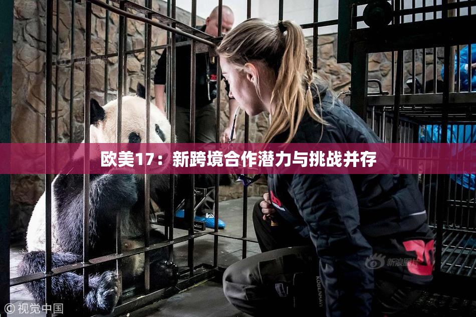 欧美17：新跨境合作潜力与挑战并存