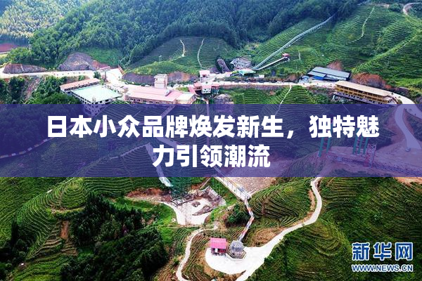 日本小众品牌焕发新生，独特魅力引领潮流