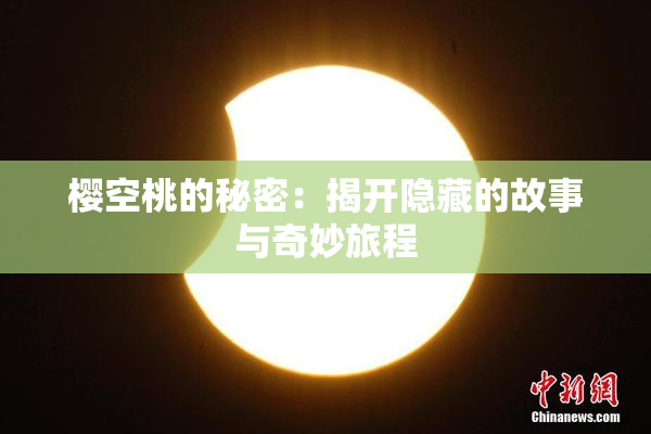 樱空桃的秘密：揭开隐藏的故事与奇妙旅程