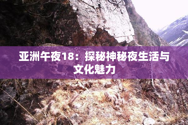 亚洲午夜18：探秘神秘夜生活与文化魅力