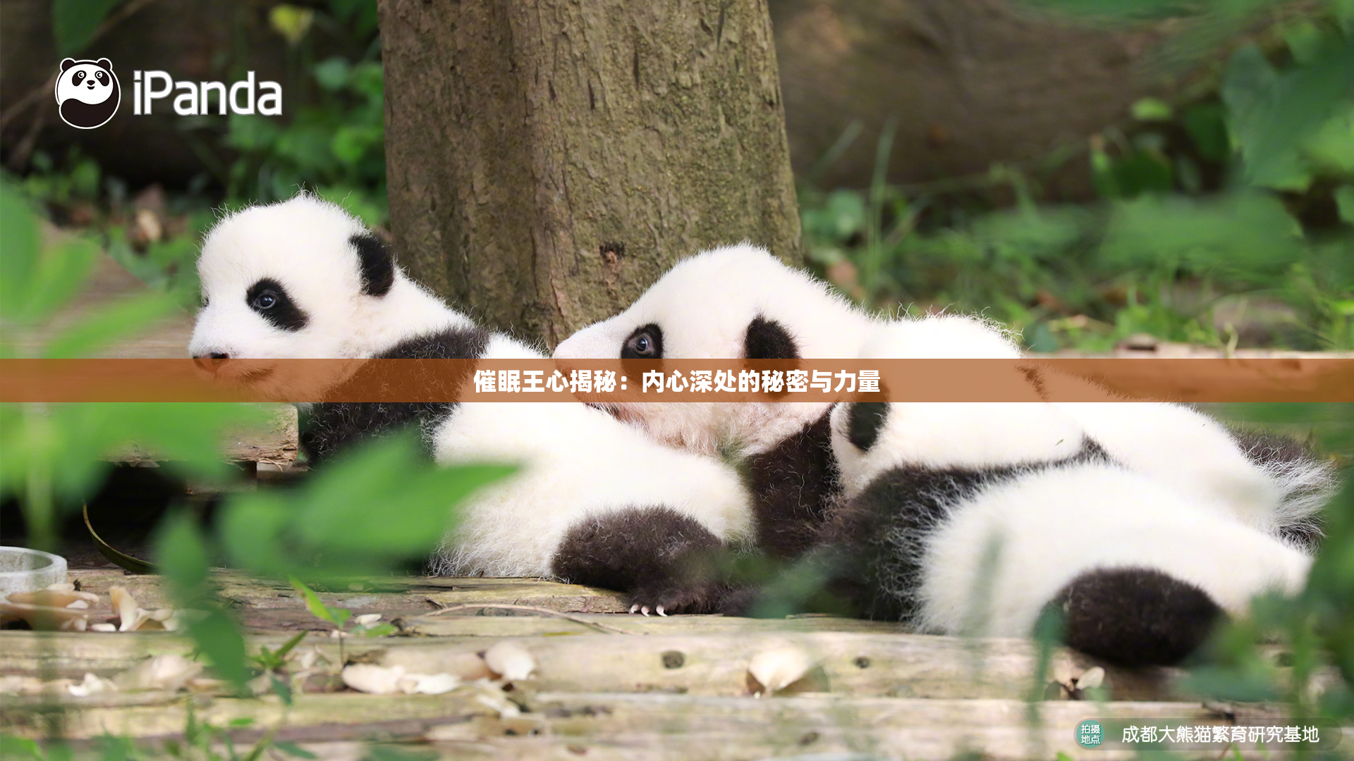 催眠王心揭秘：内心深处的秘密与力量