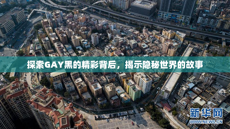 探索GAY黑的精彩背后，揭示隐秘世界的故事