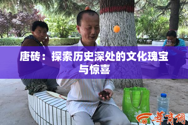 唐砖：探索历史深处的文化瑰宝与惊喜
