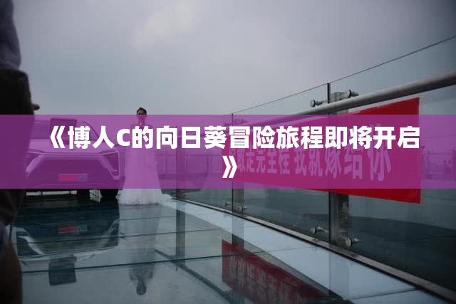 《博人C的向日葵冒险旅程即将开启》