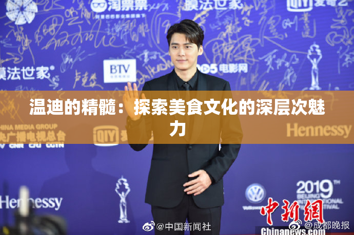 温迪的精髓：探索美食文化的深层次魅力