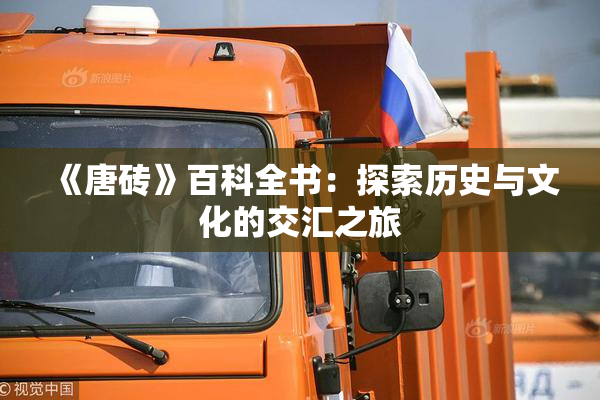 《唐砖》百科全书：探索历史与文化的交汇之旅