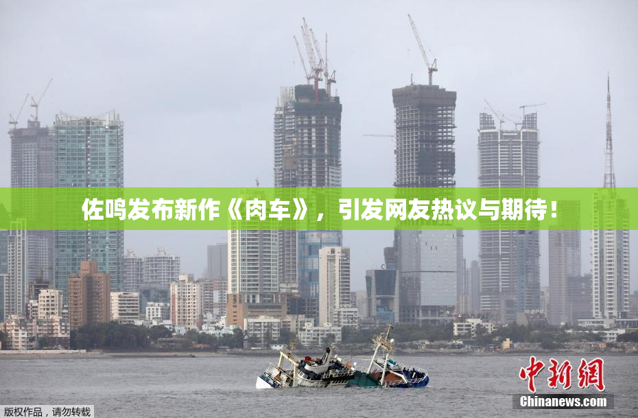 佐鸣发布新作《肉车》，引发网友热议与期待！