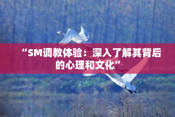“SM调教体验：深入了解其背后的心理和文化”