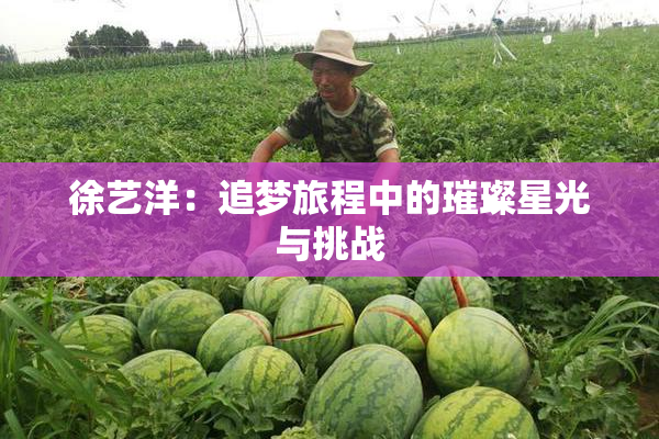 徐艺洋：追梦旅程中的璀璨星光与挑战