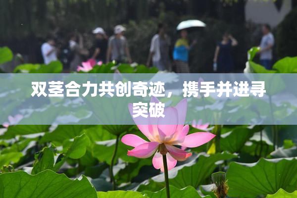 双茎合力共创奇迹，携手并进寻突破