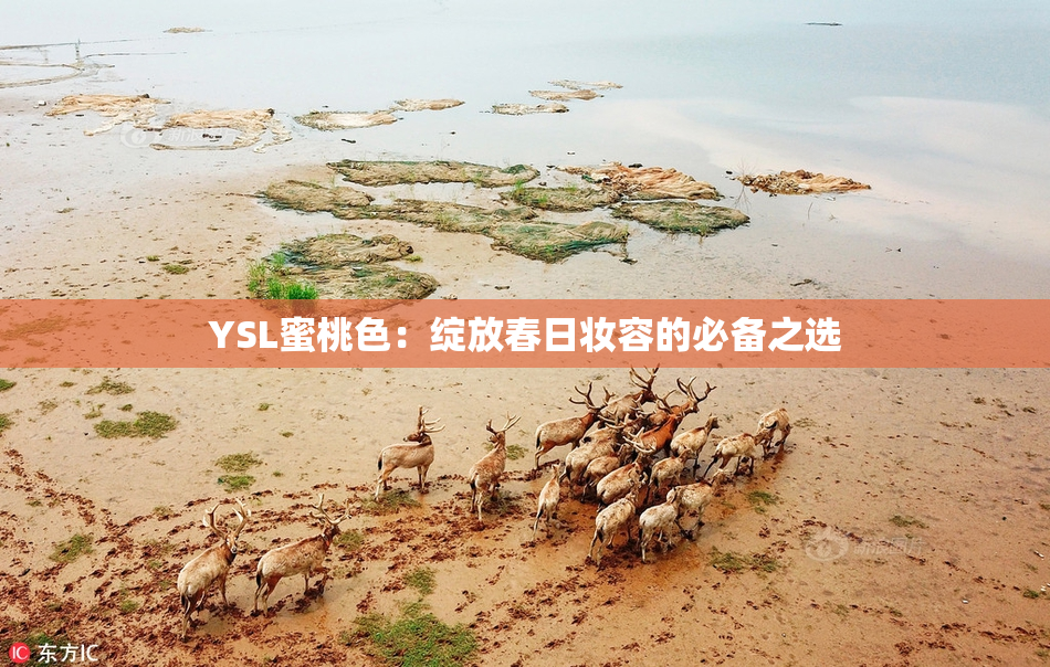 YSL蜜桃色：绽放春日妆容的必备之选