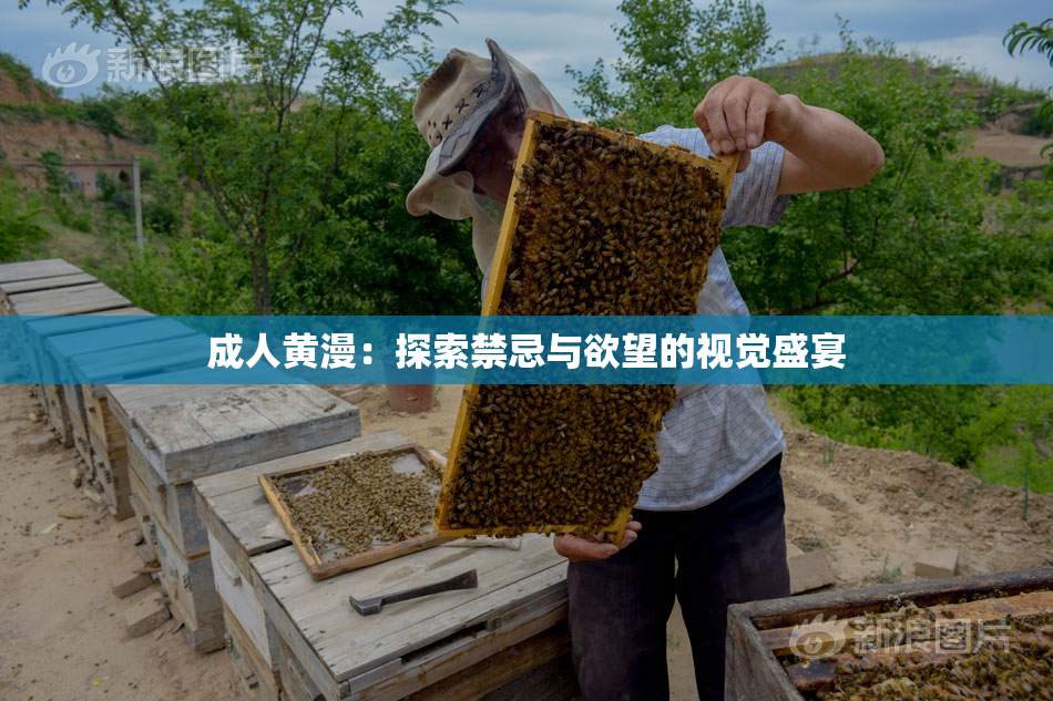 成人黄漫：探索禁忌与欲望的视觉盛宴