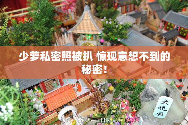 少萝私密照被扒 惊现意想不到的秘密！