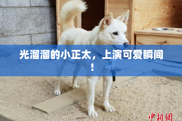 光溜溜的小正太，上演可爱瞬间！
