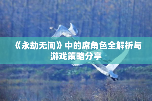 《永劫无间》中的席角色全解析与游戏策略分享