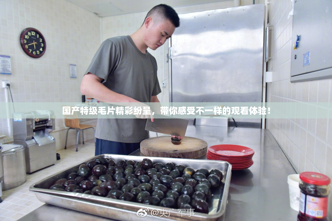 国产特级毛片精彩纷呈，带你感受不一样的观看体验！