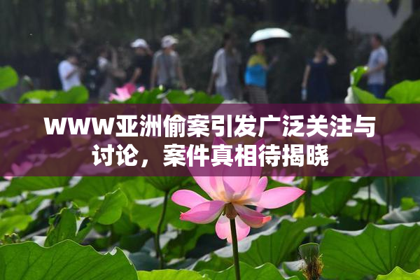 WWW亚洲偷案引发广泛关注与讨论，案件真相待揭晓