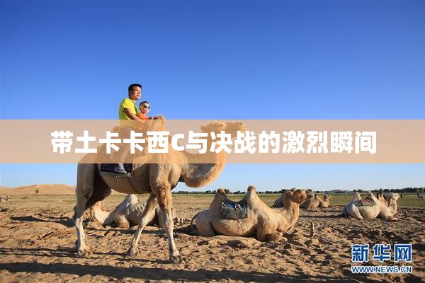 带土卡卡西C与决战的激烈瞬间