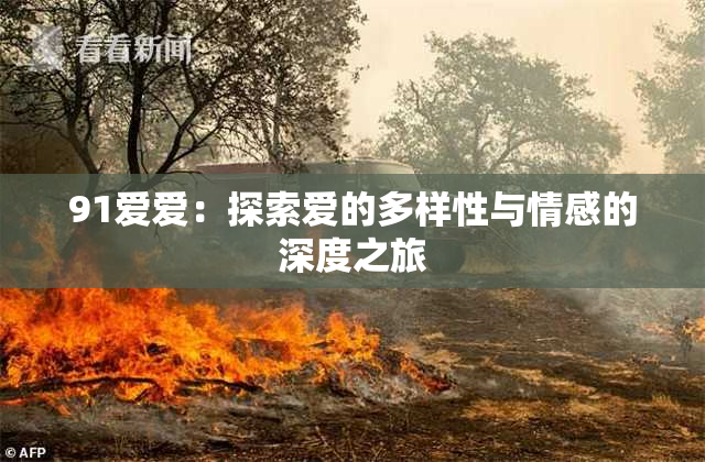 91爱爱：探索爱的多样性与情感的深度之旅