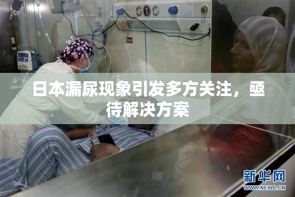 日本漏尿现象引发多方关注，亟待解决方案