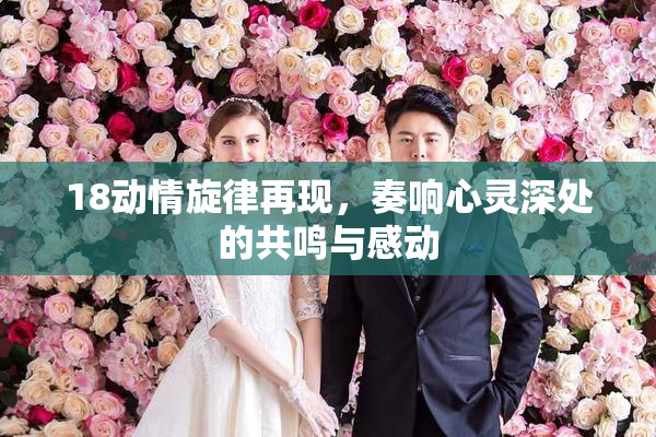 18动情旋律再现，奏响心灵深处的共鸣与感动