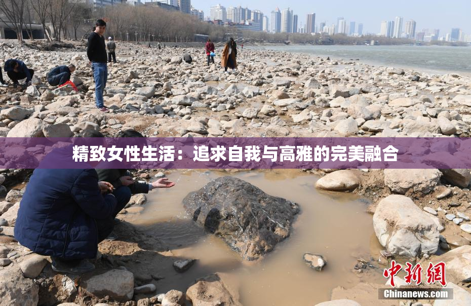 精致女性生活：追求自我与高雅的完美融合